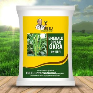 EMERALD SPEAR OKRA
