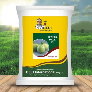 TENNIS BALL F1