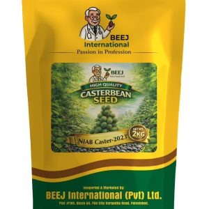 CASTERBEAN SEED NIAB CASTER-2023