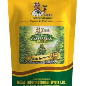 CASTERBEAN SEED NIAB SPINELESS