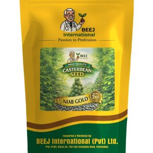 CASTERBEAN SEED NIAB GOLD