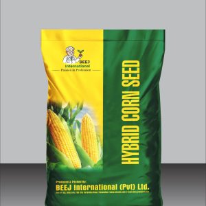 HYBRID CORN SEED