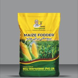 MAIZE FODDER